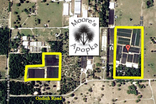 Moore's Greenhouses - Satellite View